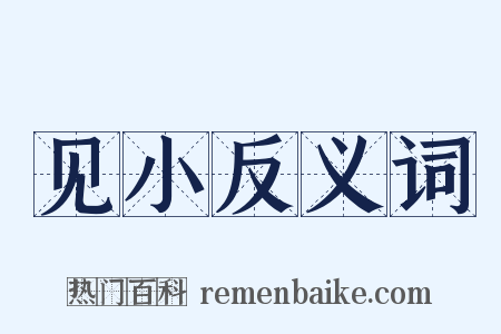 见小反义词是什么意思的图片